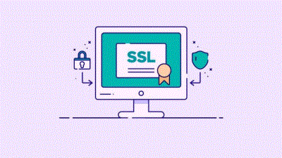 Web Site Güvenliğinizi Nasıl Sağlıyorsunuz?