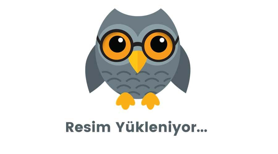 SEO uyumlu makale nasıl yazılır?